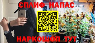 ГАЛЛЮЦИНОГЕННЫЕ ГРИБЫ Будённовск