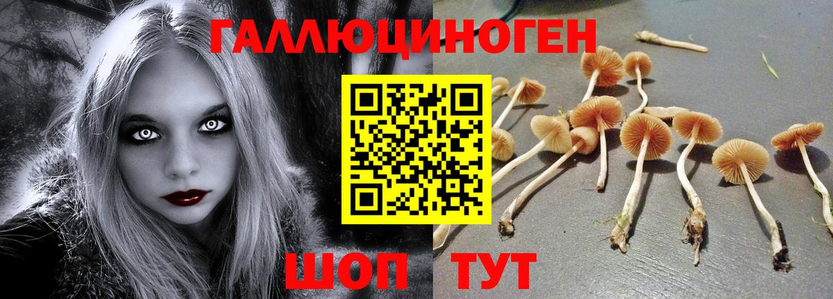 Меф  Каннабис  Лсд 25  Шахты  Кокаин  ГАШ  Мефедрон кристаллы  Вход с VPN 